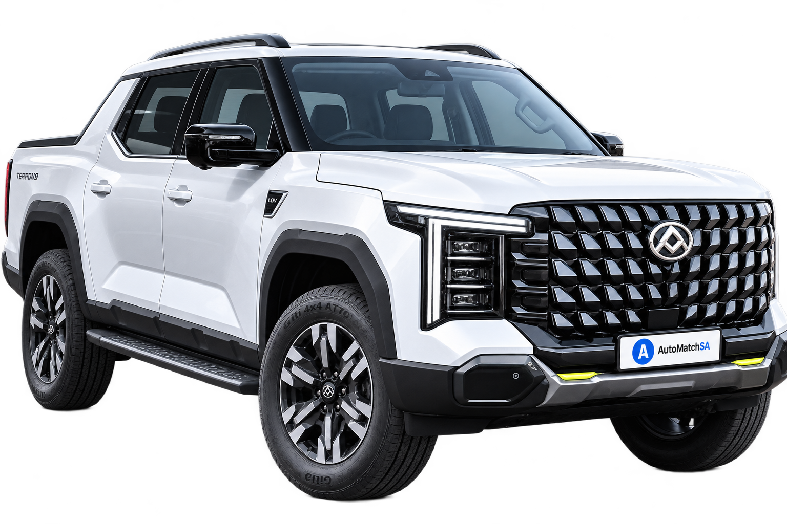 LDV Terron 9